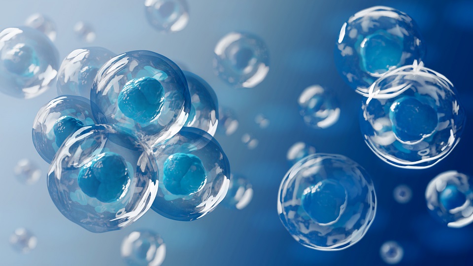 ATMP Blue Cluster