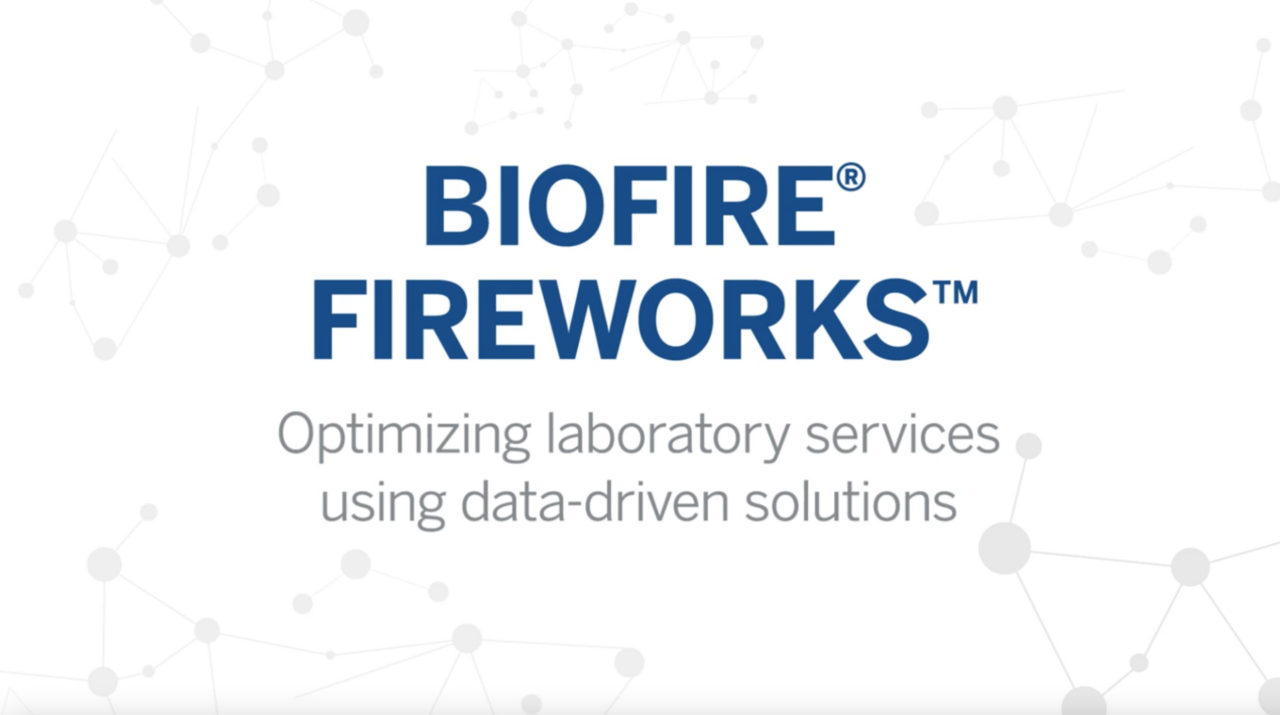 VÍDEO DO BIOFIRE FIREWORKS